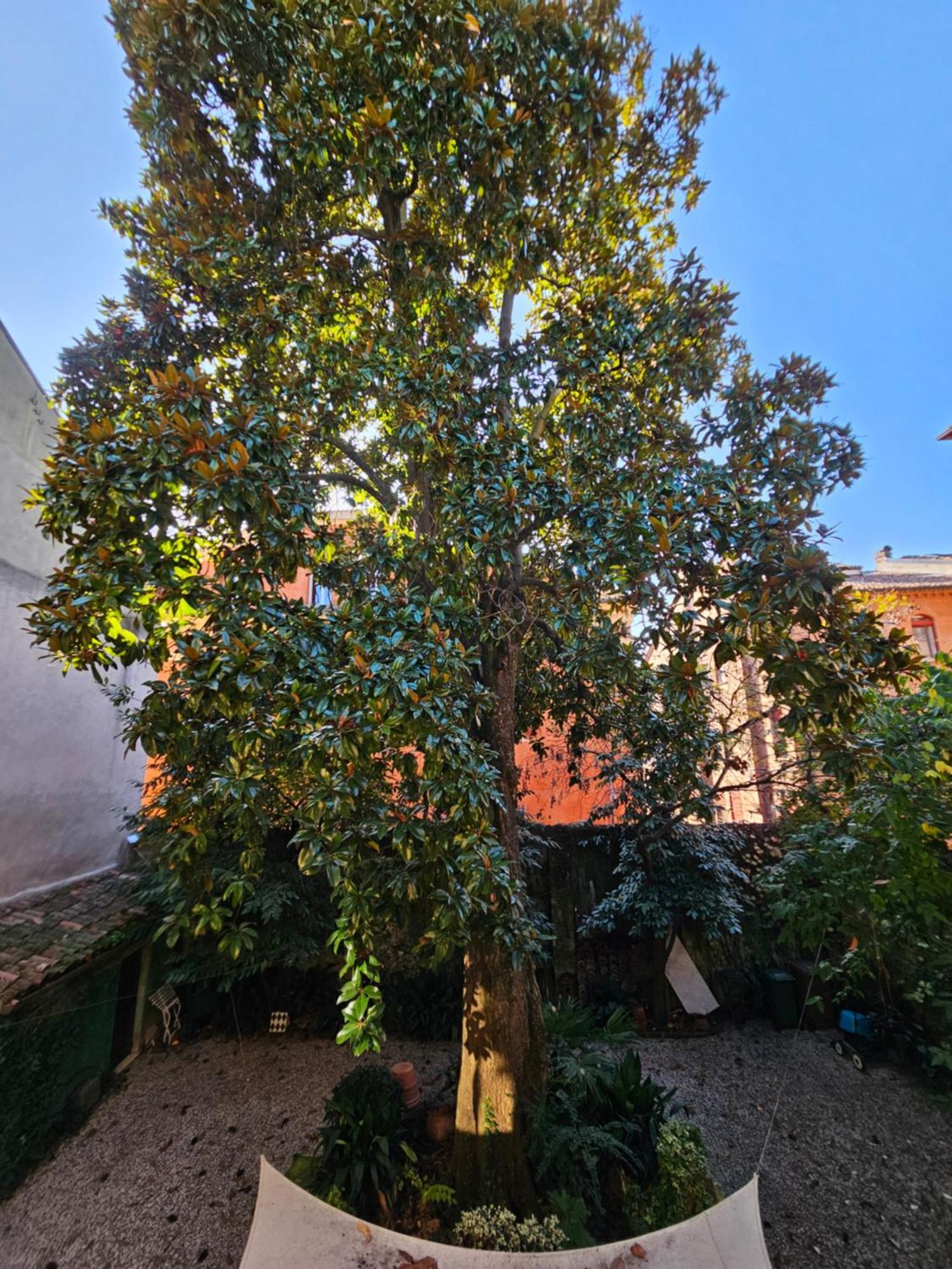 דירות פררה L'Ape Regina מראה חיצוני תמונה